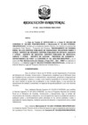 Vista preliminar de documento RD N 064-2022 LIQUIDACION FINAL CONVENIO N 102-2020 PUNORRR.pdf