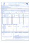 Vista preliminar de documento Formato Predio Rustico