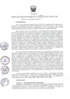 Vista preliminar de documento RER_199_2016.pdf
