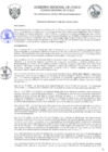 Vista preliminar de documento Ordenanza Regional