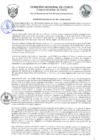 Vista preliminar de documento Ordenanza Regional