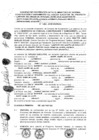 Vista preliminar de documento 2016