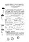 Vista preliminar de documento 2016