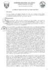 Vista preliminar de documento Acuerdo Regional