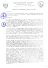Vista preliminar de documento Acuerdo Regional