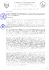 Vista preliminar de documento Acuerdo Regional