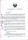 Vista preliminar de documento R.D.Nº 141-2009-COFOPRI-DE.pdf