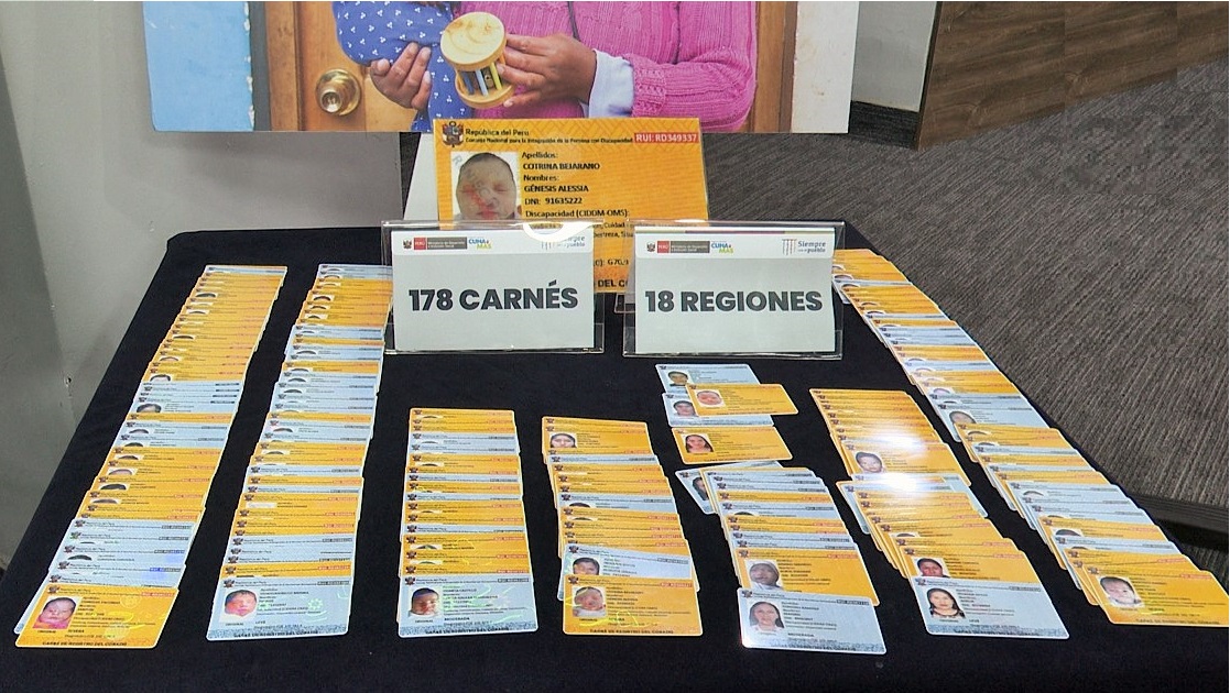 Presentación de los 178 carnet sobre una mesa.