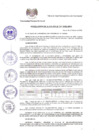 Vista preliminar de documento Directiva N° 001-2009-MPH-GM