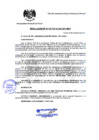 Vista preliminar de documento Resolución Alcaldía N° 335-2011-MPH