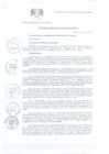 Vista preliminar de documento Ordenanza Municipal N° 010-2011-MPH-CM