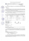 Vista preliminar de documento Resol_Gerencia_294_2019_GM