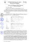 Vista preliminar de documento Resolución de Gerencia General