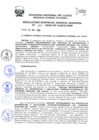 Vista preliminar de documento Resolución de Gerencia General