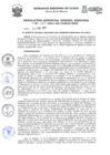 Vista preliminar de documento Resolución de Gerencia General