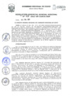 Vista preliminar de documento Resolución de Gerencia General