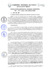 Vista preliminar de documento Resolución de Gerencia General
