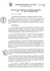 Vista preliminar de documento Resolución de Gerencia General