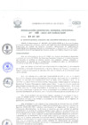 Vista preliminar de documento Resolución de Gerencia General