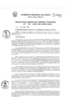 Vista preliminar de documento Resolución de Gerencia General