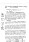 Vista preliminar de documento Resolución de Gerencia General