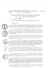 Vista preliminar de documento Resolución de Gerencia General