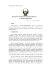 Vista preliminar de documento res_DEC_081_2021