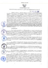 Vista preliminar de documento RGRI N° 007-2022
