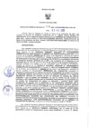 Vista preliminar de documento RGRI N° 008-2022