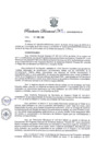 Vista preliminar de documento Resolución Directoral