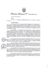 Vista preliminar de documento Resolución Directoral