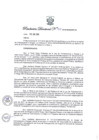 Vista preliminar de documento Resolución Directoral