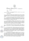 Vista preliminar de documento Resolución Directoral