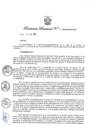 Vista preliminar de documento Resolución Directoral