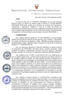 Vista preliminar de documento Resolución Directoral  Ejecutiva N° 131-2021-MIDAGRI-PROVRAEM-DE..pdf