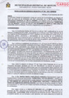 Vista preliminar de documento R.G. 305.pdf