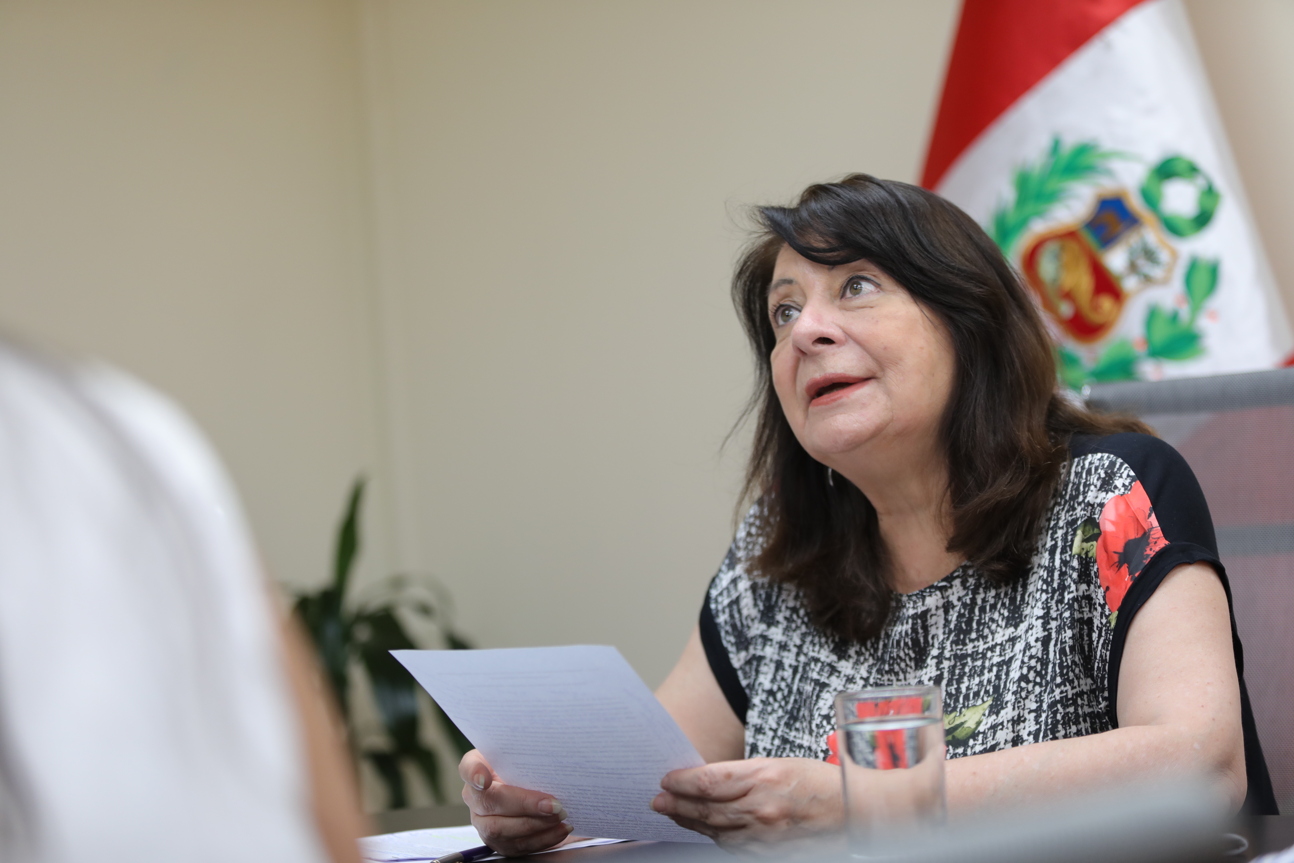 Ministra Diana Miloslavich