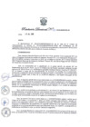 Vista preliminar de documento Resolución Directoral