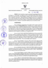Vista preliminar de documento RER N° 092-2022