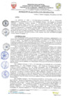 Vista preliminar de documento resolucion-alcaldiaN061.pdf