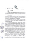 Vista preliminar de documento Resolución Directoral