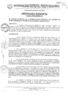 Vista preliminar de documento Ordenanza 13.pdf