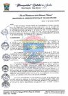 Vista preliminar de documento G MUNICIPAL 62.pdf