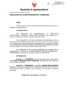 Vista preliminar de documento RS258-2020.pdf