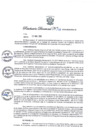 Vista preliminar de documento Resolución Directoral