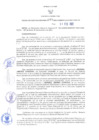 Vista preliminar de documento RER N° 095-2022