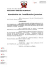 Vista preliminar de documento RSPE-022-2021-PP