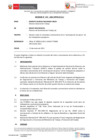 Vista preliminar de documento IF-017-2022