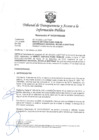 Vista preliminar de documento 010301952020.pdf