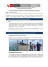 Vista preliminar de documento Reporte de acciones adoptadas por las EFA - 14 de febrero de 2022